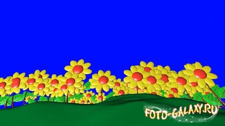 Футаж на хромакее - Цветочная поляна