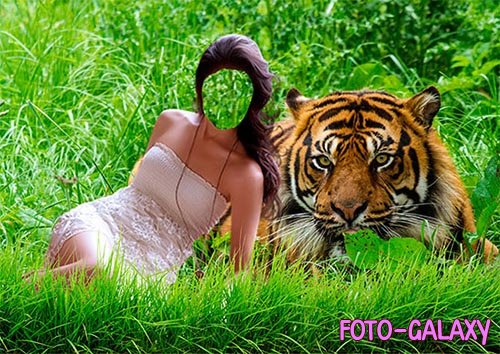 Костюм для фотомонтажа девушки с тигром