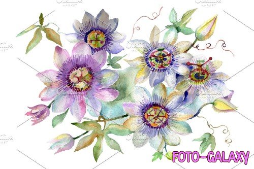 Bouquet of spring hello watercolor - 3706021