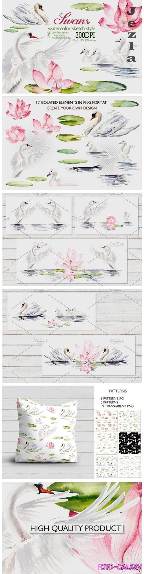Watercolor swans - 351891
