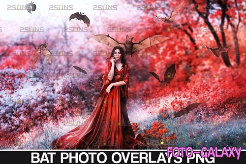 32 Halloween overlay Photoshop overlay Realistic bat clipart - 934531