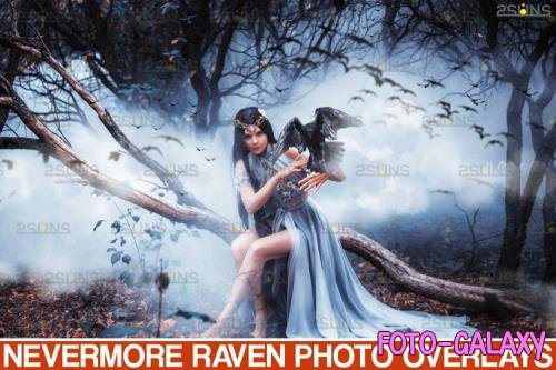 50 Halloween overlay Photoshop overlay Realistic raven - 934530