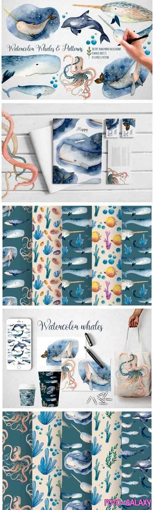 Watercolor Whales & Patterns - 5228352