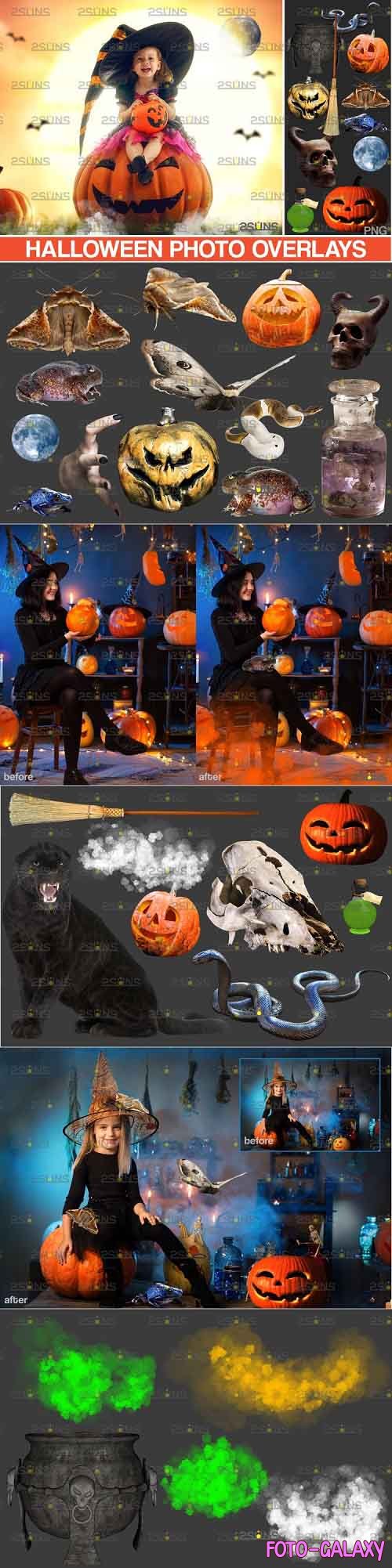 Photoshop overlay smoke bomb overlay, pumpkin overlays - 981851