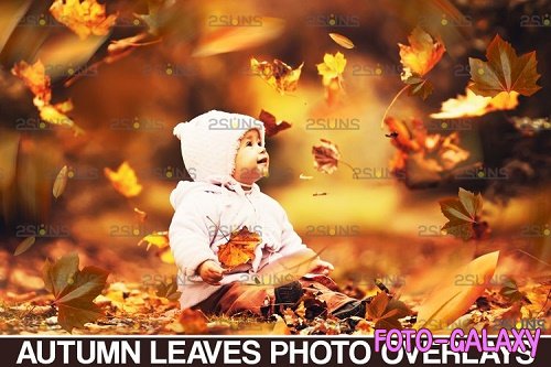Autumn leaves overlay & Falling leaf, Photoshop overlay - 950553