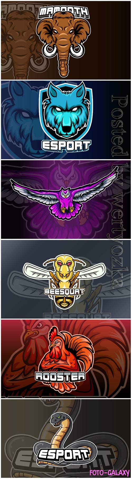 Mascot for sports and esports logo isolated premium vector vol 3