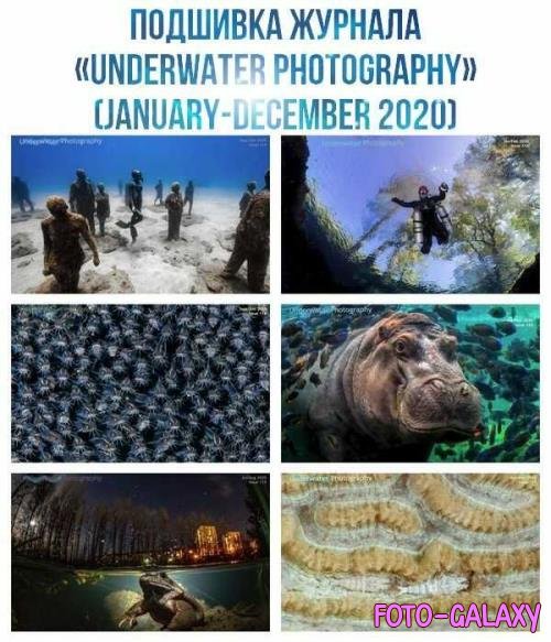   Underwater Photography (January-December 2020)
