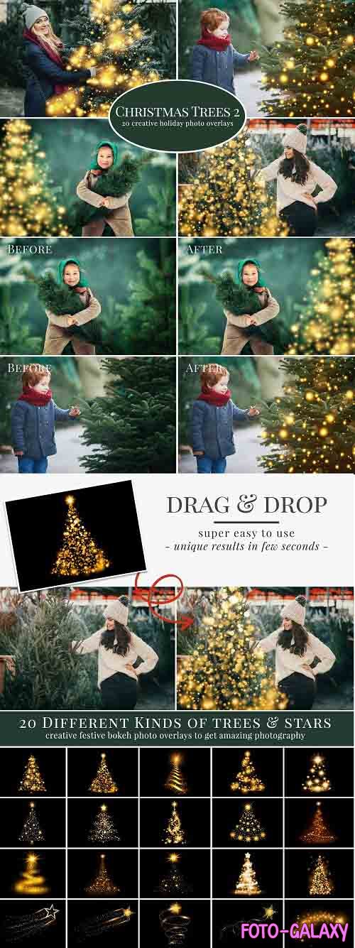 CreativeMarket - Christmas Trees photo overlays 5636334