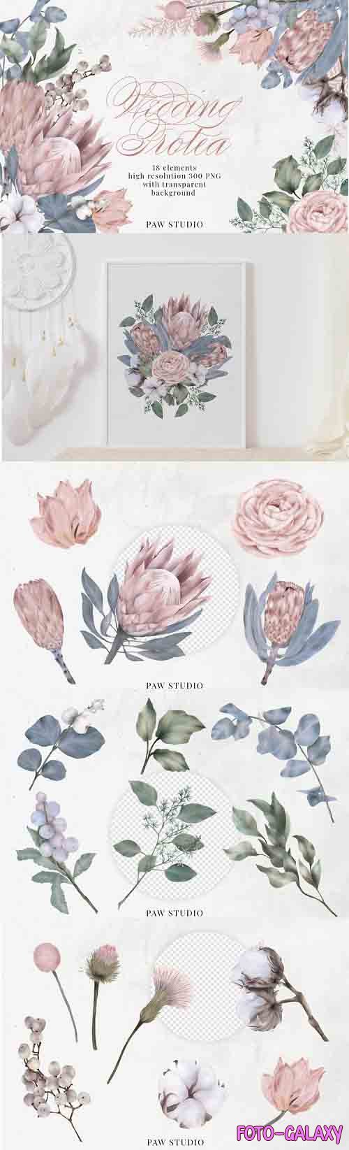 Wedding Protea Flowers Leaves Rose Cotton Eucalyptus Clipart - 1102238
