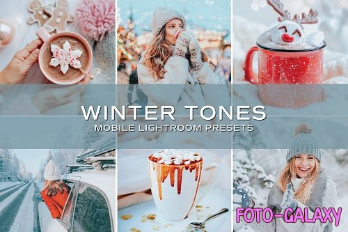 CreativeMarket - 5 Winter Tones Lightroom Presets 5698860