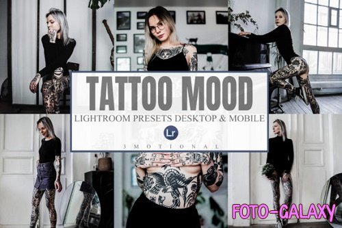 6 Tattoo Mood Lightroom
