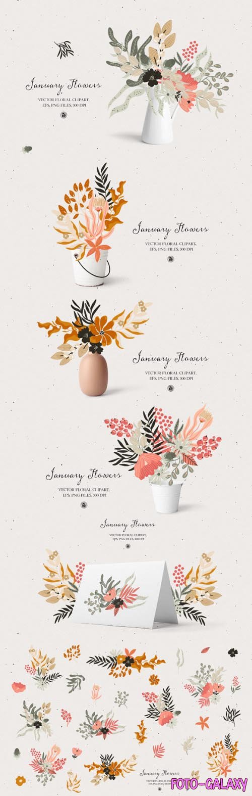 January Flowers - Floral Vector Set