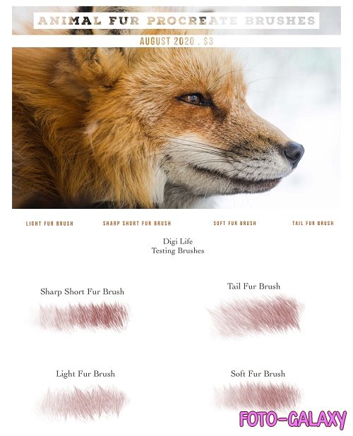 Animal Fur Procreate Brushes - 5322493