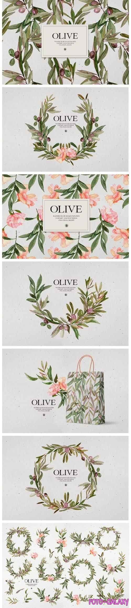 Watercolor Olive - frames & patterns - 5766521
