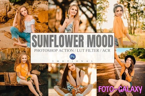 5 Sunflower Mood Photoshop Actions, ACR, LUT Presets - 1176775