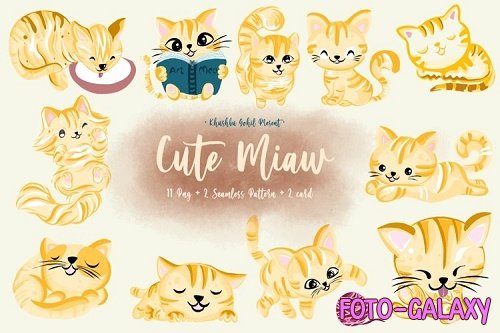 Cute miaw - 1154240