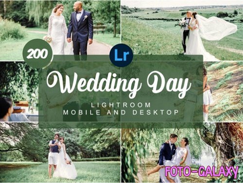 Wedding Day Mobile and Desktop Presets