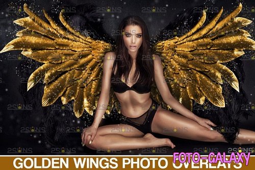 Golden Angel Wing overlay & Photoshop overlay - 1132971