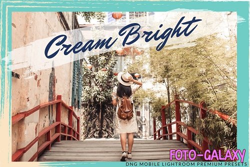 Creativemarket - Creamy Bright Mobile Lightroom 5758584