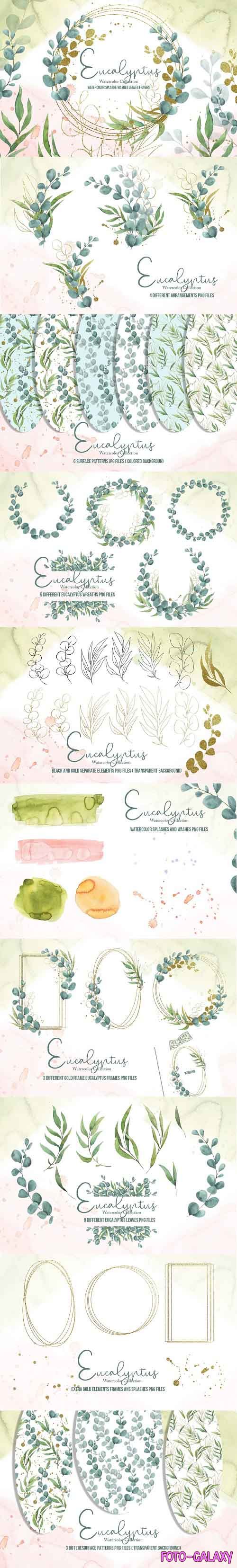 Eucalyptus Watercolor Collection - 5907503