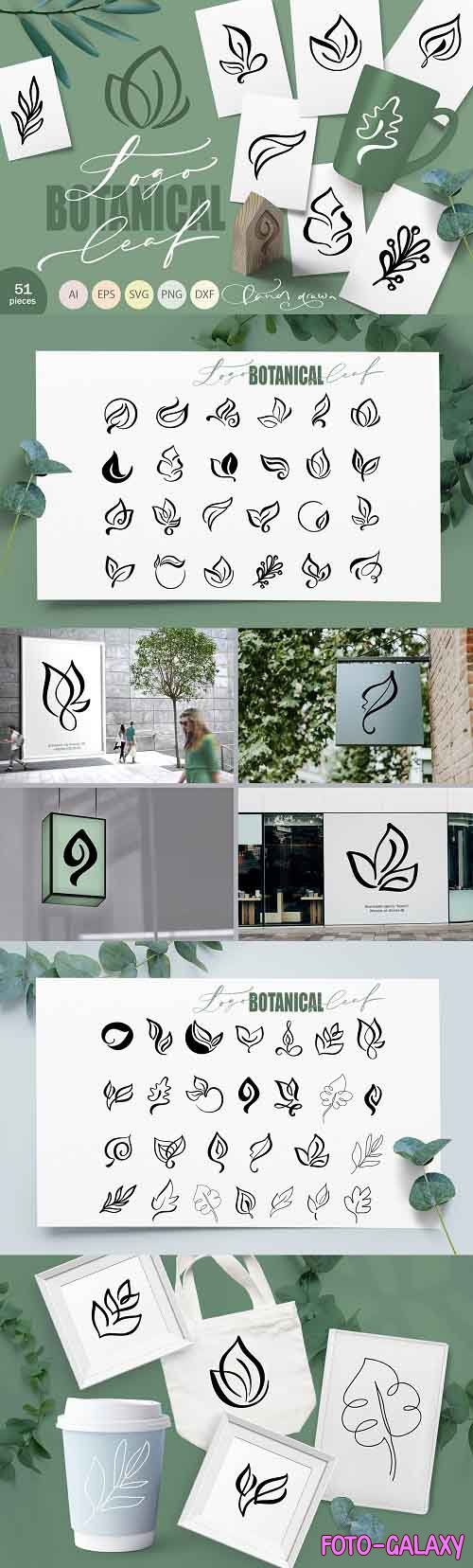 Logo Botanical Leaf SVG - 5906752