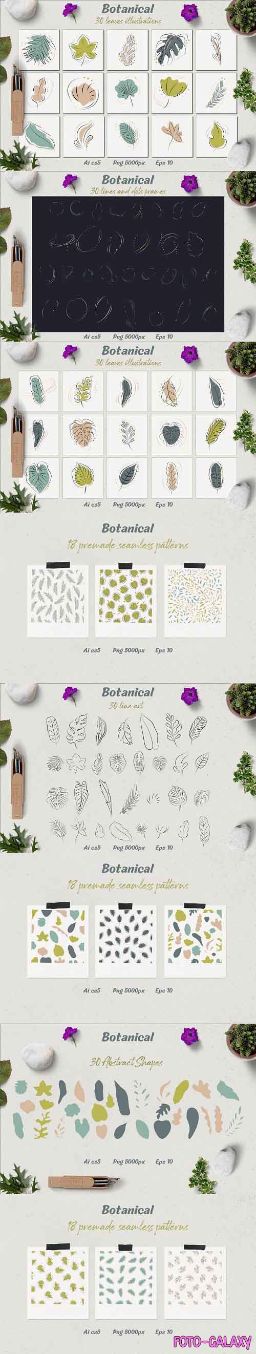 Botanical - leaves illustrations - 4824083