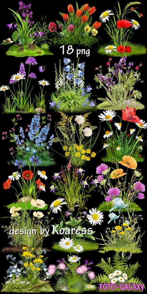 Png      -  Set of Png clipart Floral glades