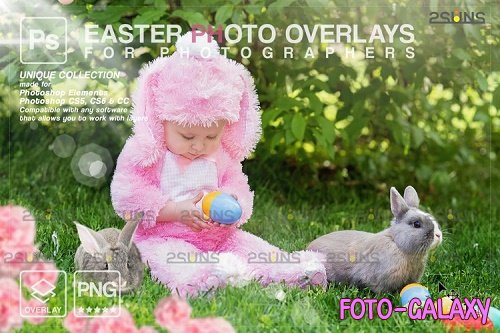 Photoshop overlay Easter bunny overlay V7  - 1223560