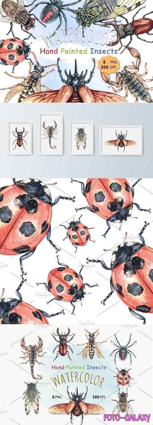 Watercolor Insects and Spider - 5883481