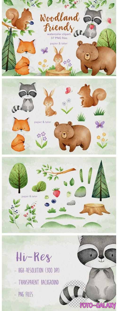 Watercolor Woodland Animals Clipart Graphics - 648948
