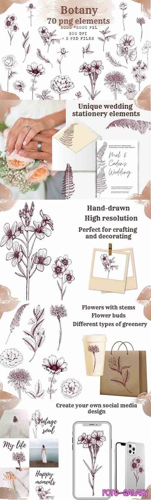 Botanical aesthetic clipart,hand drawn floral design element - 1246269