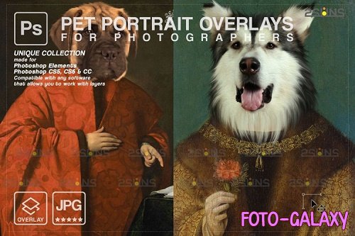 Royal Pet Portrait templates vol.19, Pet Painting - 1213589