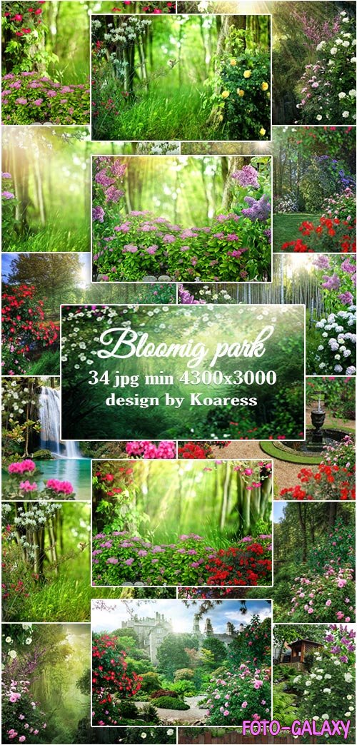      - Blooming park jpg backgrounds for collages