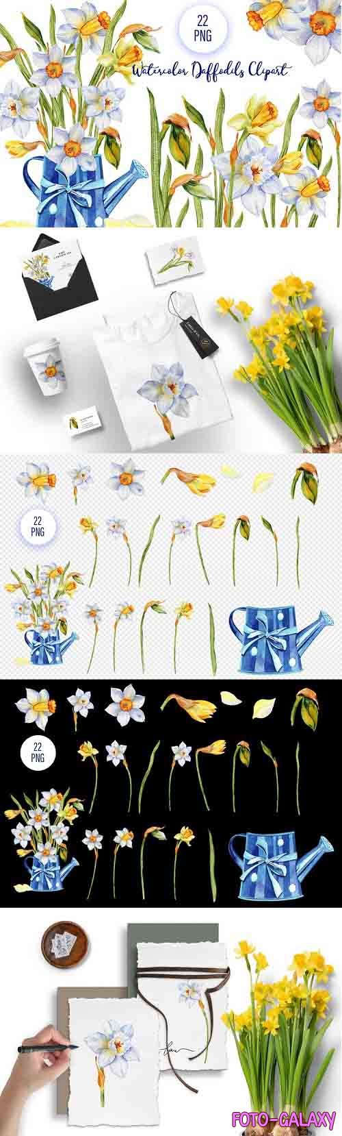 Daffodils watercolor blue flowers clipart - 1262501