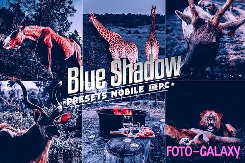 Blue Shadow For Mobile and Desktop Lightroom