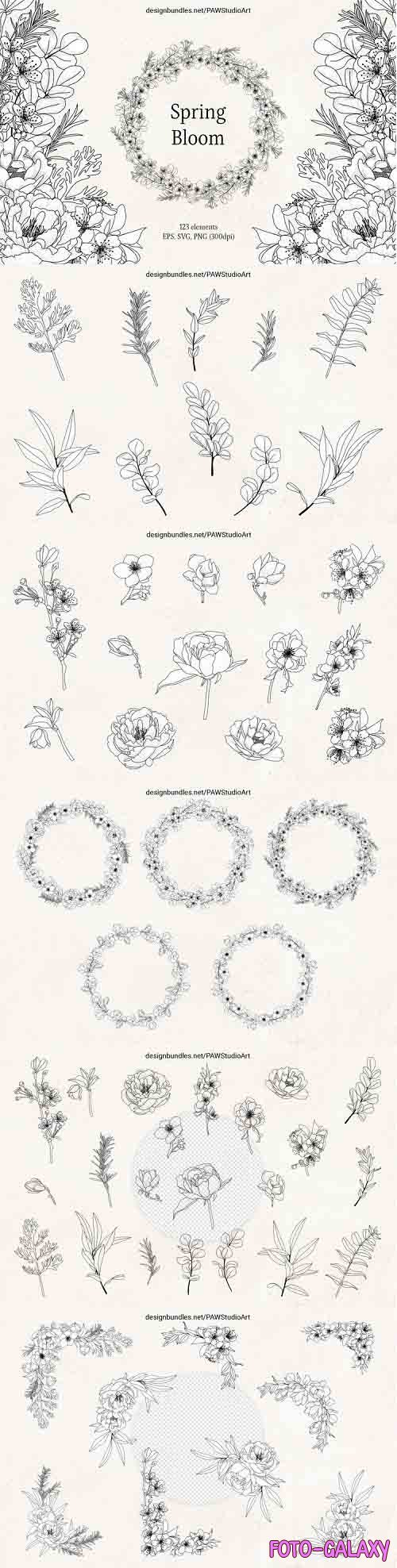 Floral Sketch Line Art Flower SVG Frame Botanical Monogram - 1268800