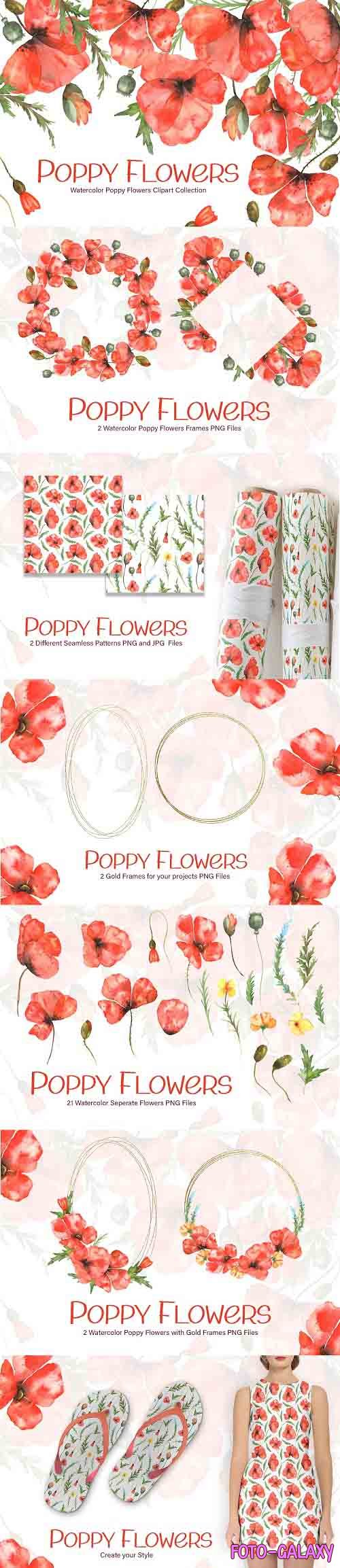 Watercolor Poppy Flowers Collection - 5988143