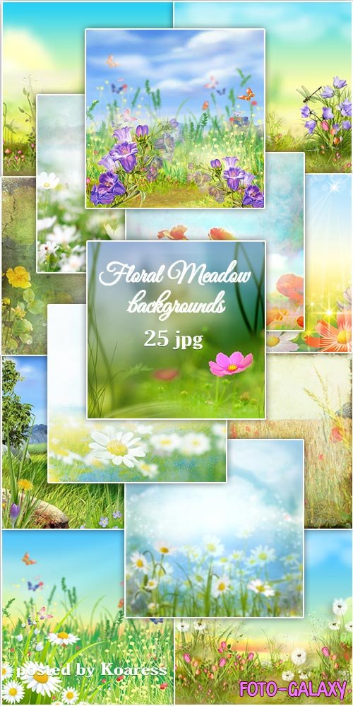  jpg   - Flower meadow ipg backgrounds