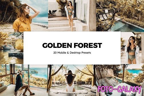 20 Golden Forest Lightroom Presets - 6100412