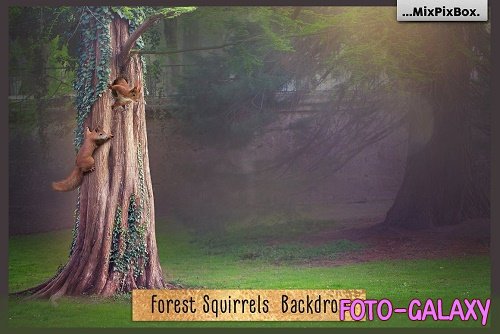 Forest Squirrels Backdrop - 6120189