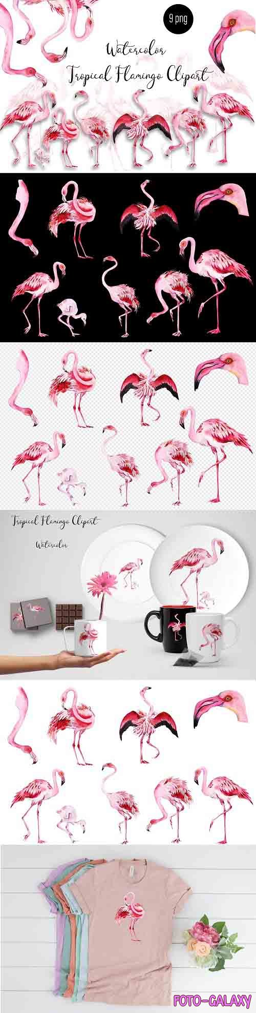 Watercolor tropical Flamingo Clipart - 1356007