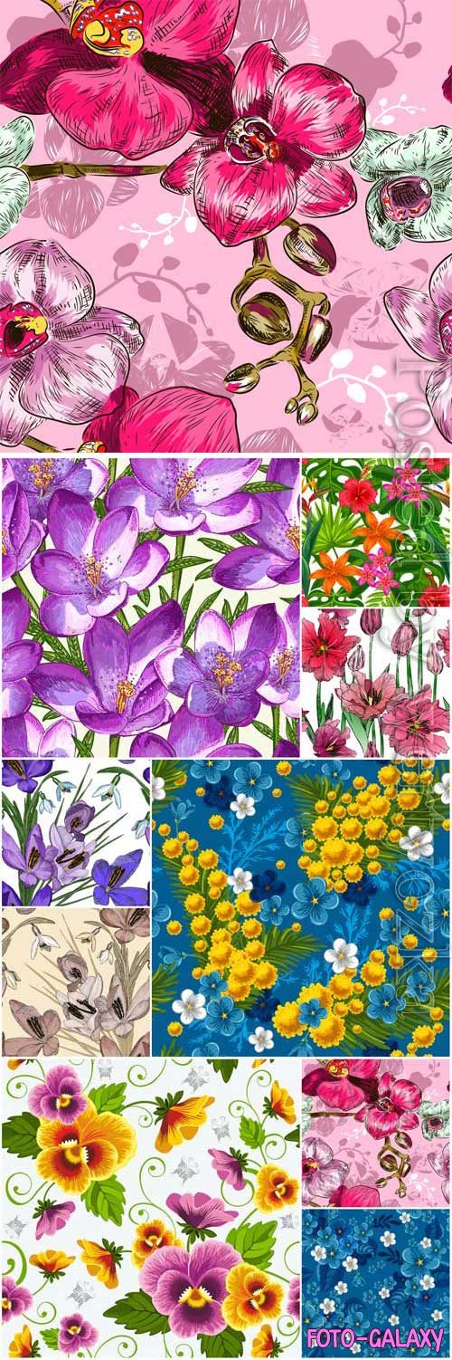 Backgrounds with orchids, poppies and other flowers in vector