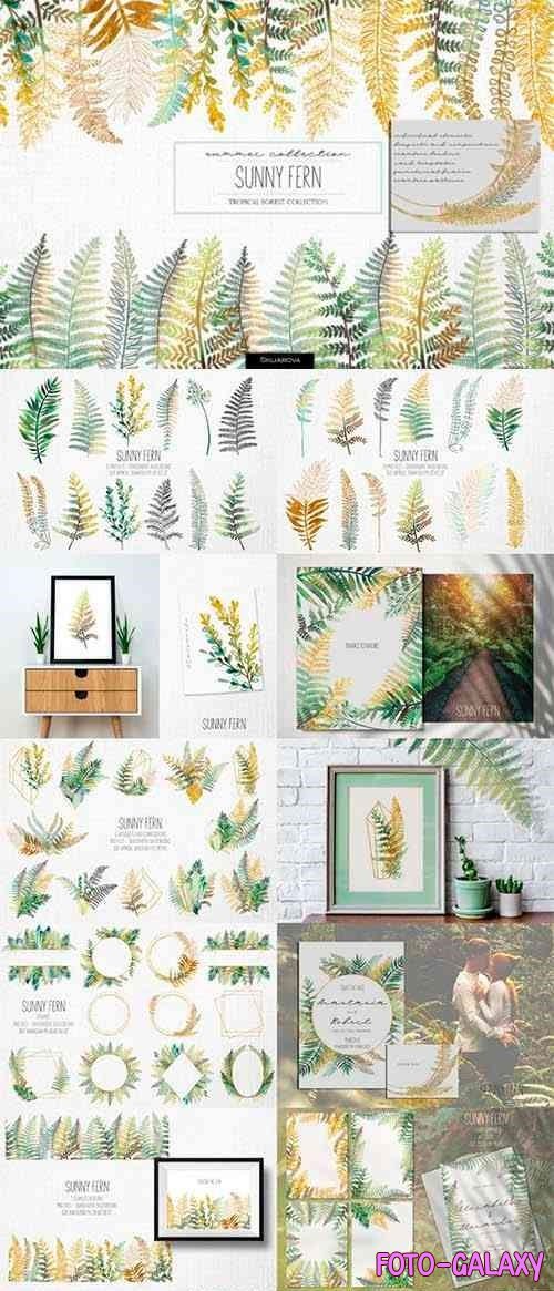 Sunny fern. Tropical forest collection - 531812