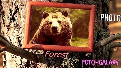 Professionally Designed Forest Slideshow - Premiere Pro Templates