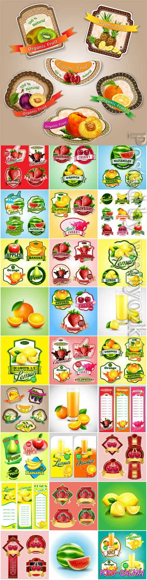 Labels and banners of fruits and berries in vector