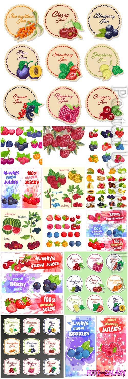 Labels and stickers with berries and fruits in vector
