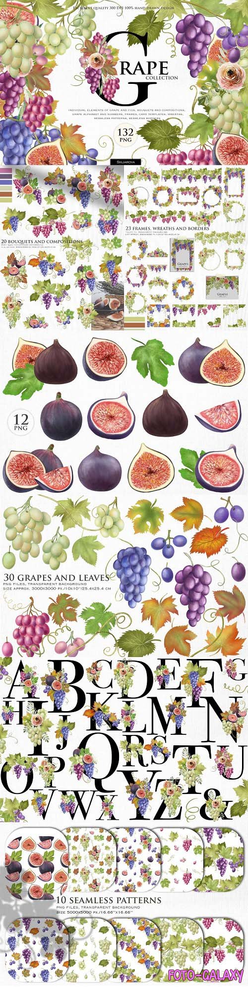 Grape collection - 6260638