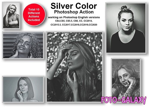 Silver Color Photoshop Action - 5449916