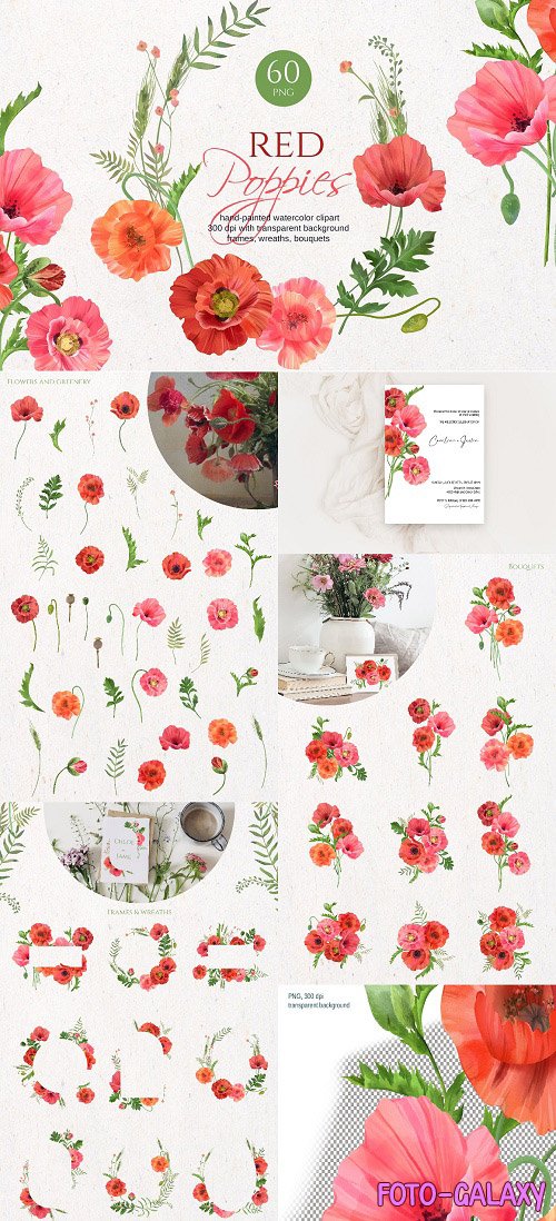 Red poppies watercolor collection - 6299067
