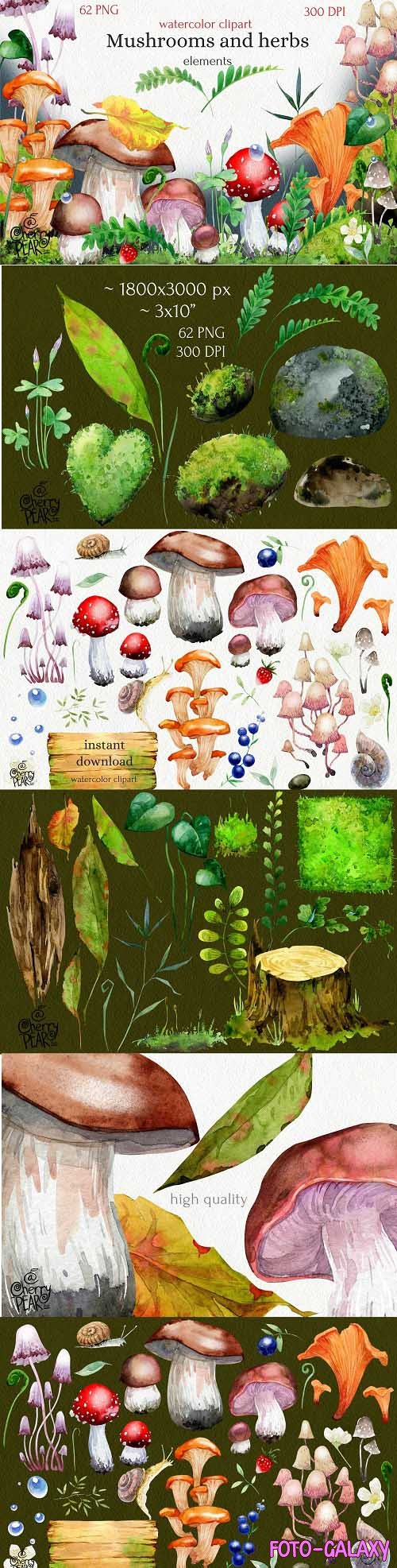 Watercolor cliparts of mushrooms and herbs, individual PNG - 1473824